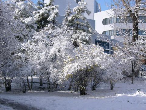 吉林大学最新的美丽雪景