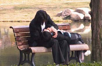 ץһѧУ԰Ǿͷ--ζ