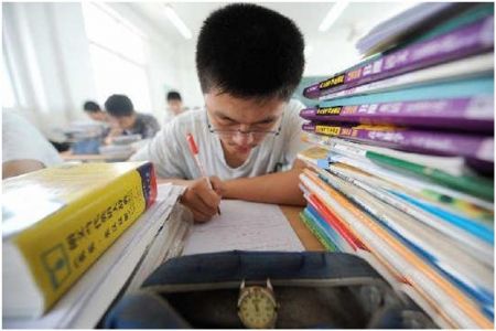 独木不独木 高考过后的选择