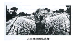 考研英语范文四:人生处处面临选择
