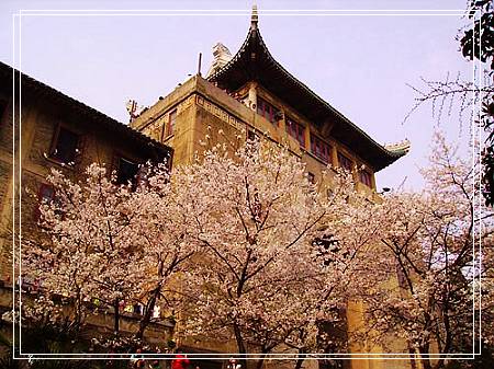 武汉大学环绕东湖水,坐拥珞珈山,校园环境优美,风景如画,被誉为"