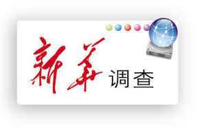 艺考培训，如何走出“灰色地带”(图)