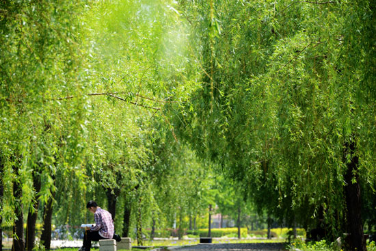延期毕业大学生增多:有人为考研有人为结婚