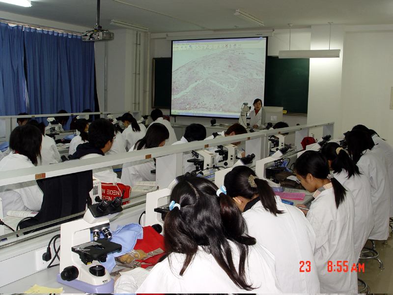 www.fz173.com_天津医科大学临床医学院教务处。