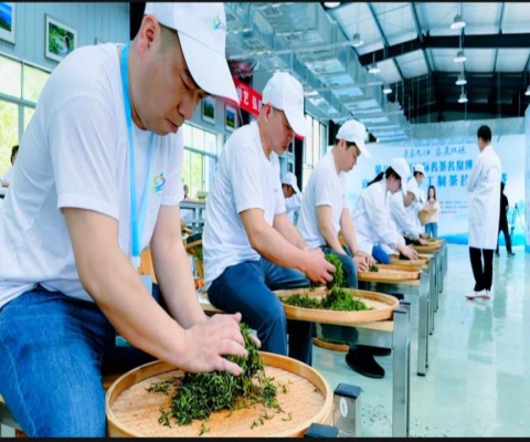 第八届九江国际名茶名泉博览会系列活动在九江职业大学万里茶道茶学院成功举办