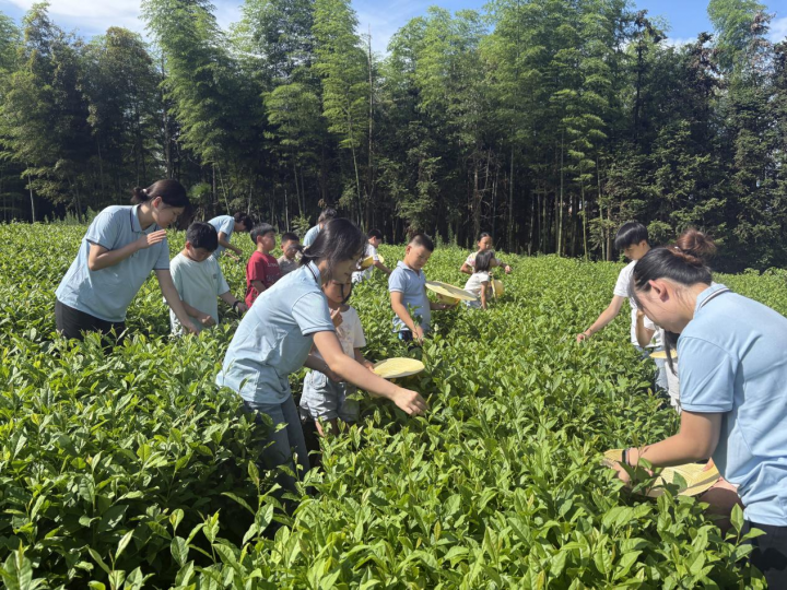 以茶润童心 &nbsp;&nbsp;&nbsp;以劳育成长——&nbsp;九江职业大学“心田自然”志愿服务队深耕乡村美育课堂