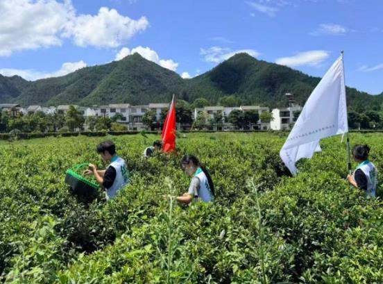 九江职业大学——以茶助农践初心 茶旅融合促振兴