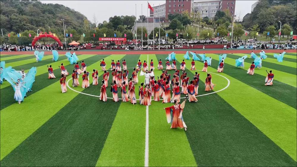 琵琶浔语