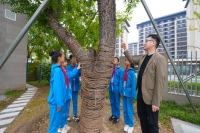 在雄安，把“乡愁”种进校园里